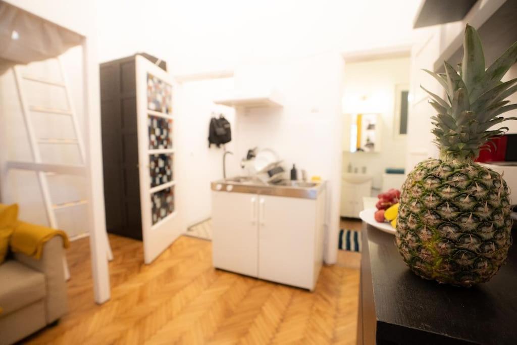 Cozy Studio Near Cismigiu Park Apartamento Bucarest Exterior foto